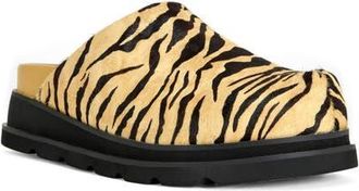 Azalea Wang Sarinda Genuine Calf Hair Clog in Tan Multi at Nordstrom, Size 6.5