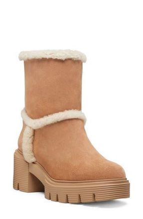 Stuart Weitzman Lennox Genuine Shearling Bootie in Ncmnatcrml at Nordstrom Rack, Size 7.5