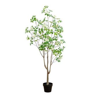 Nearly Natural 5-ft Artificial Dogwood Tree in Green at Nordstrom