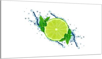 OEM Protector De Cristal Para Encimera 90x52 Lima