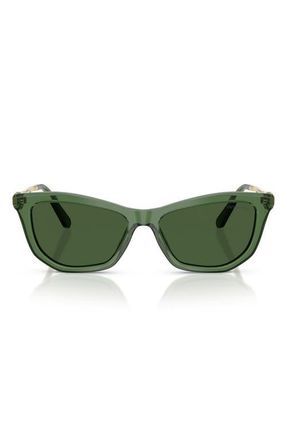 Swarovski 56mm Cat Eye Sunglasses in Transparent Green /Dark Green at Nordstrom