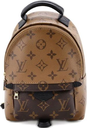 Louis Vuitton Palm Springs Reverse Monogram Canvas Mini backpack - Bruin