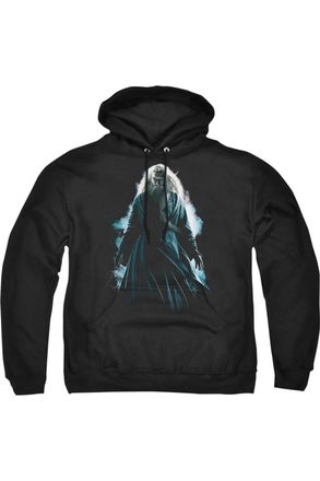 Gildan Harry Potter Dumbledore Burst Adult Pull Over Hoodie / Hooded Sweatshirt