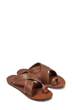 beek Curlew Studded Crossover Strap Slide Sandal in Tan Gold Studs at Nordstrom, Size 12
