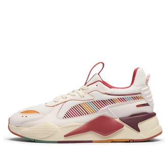 Puma RS-X LNDSCP Andes 398684-01