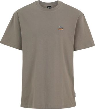Iriedaily Smokin Van T-Shirt T-Shirt f&uuml;r Herren | grau