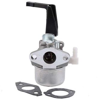 OEM Carburador 696065 Para Briggs & Stratton 696065 697422 110402-0206-e1 - Crezuo