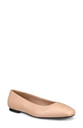 Ecco Margot Ballet Flat in Beige at Nordstrom Rack, Size 9-9.5Us / 40Eu