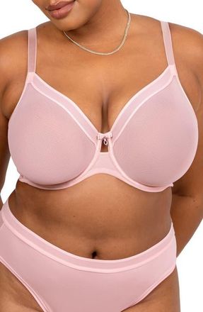 Curvy Couture Sheer Mesh Underwire Unlined Bra in Blushing Rose at Nordstrom, Size 34Ddd