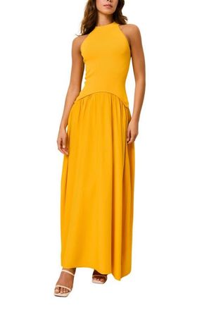 Solid & Striped The Isola Sleeveless Maxi Dress in Pineapple at Nordstrom, Size X-Small