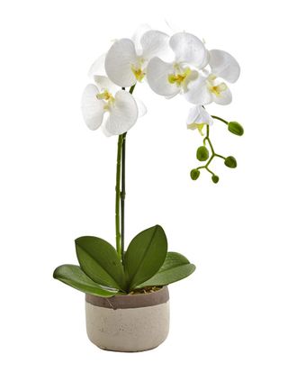 Nearly Natural Phalaenopsis Orchid in Ceramic Pot