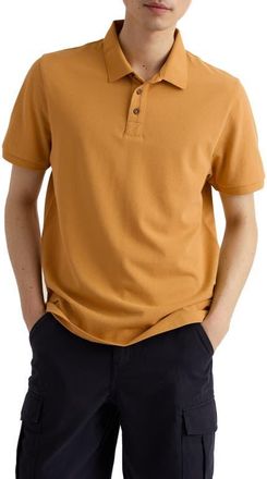 Seasalt Cornwall Balefire Organic Cotton Polo in Mustard Seed at Nordstrom, Size Xx-Large