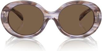Emporio Armani 53mm Oval Sunglasses in Striped Brown /Dark Brown at Nordstrom