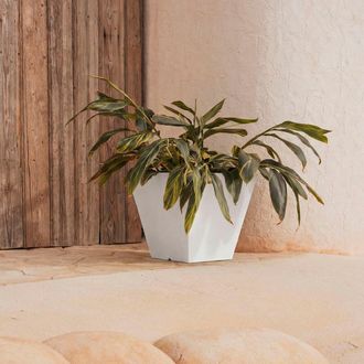 OEM Clavel 40 Macetero Cuadrado De Interior Y Exterior Para Plantas Y Flores Muy Resistente Al Paso Del Tiempo. Hecho De Polietileno En Espa&ntilde;a - Blanco