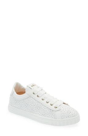 AGL Sade Perforated Sneaker in White at Nordstrom Rack, Size 10.5Us / 40.5Eu