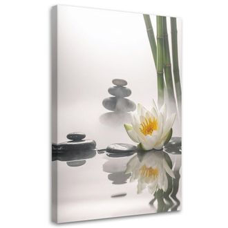 Feeby Impresi&oacute;n De Imagen, Piedras Florales De Loto Plantas Zen Spa, 70x100