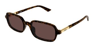 Chlo&eacute; CH0363S 002 Womens Sunglasses Tortoiseshell Size 53