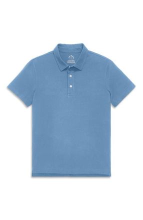 primary Adult Classic Polo in Vintage Blue at Nordstrom, Size X-Small