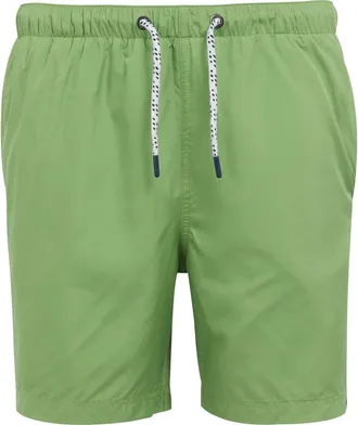 Regatta Mackleyna Swim Shorts in Piquant Green at Nordstrom, Size Xx-Large
