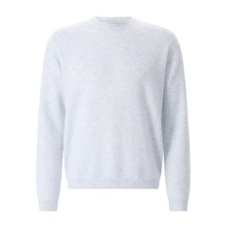 Iris Von Arnim Truien & Vesten, Heren, Blauw, L, Leer, Rondhals Trui