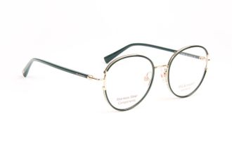 Ana Hickmann Optical Frame HI1240 12A 51