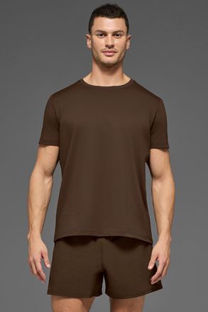 Alo | Conquer Reform Crewneck Short Sleeve Top in Espresso Brown, Size: Medium