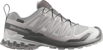 Salomon XA Pro 3D V9 GTX Multisportschuhe f&uuml;r Herren | grau