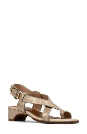 Donald J Pliner Charta Sandal in Platinum at Nordstrom Rack, Size 6.5