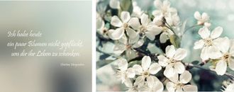 Queence Leinwandbild »Leben geschenkt« Blumenbilder Kunst Modern Schriftzug Schriftzüge Spa Spa Bilder Sprüche Sprüche & Texte Set, Premium-Leinwandstoff, Han