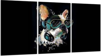 OEM Placa Protectora De Vidrio Para Estufa 3x30x52