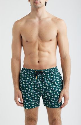 Save The Duck Ademir Swim Trunks in Mante - Animal Free at Nordstrom, Size Medium