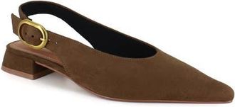 BCBGeneration Leonora Slingback Pointed Toe Pump in Tan at Nordstrom, Size 9.5
