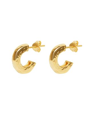 Argento Vivo Silver Earrings