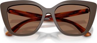 Emporio Armani 0ea4254u Oversized Cat-Eye Sunglasses with Tortoiseshell Temples