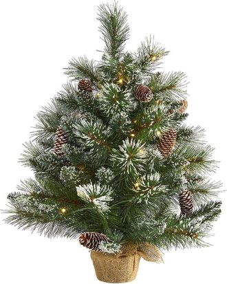 Nearly Natural 2Ft Frosted Pine Artificial Christmas Tree