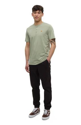 tentree Baker Henley in Light Moss at Nordstrom, Size Xx-Large