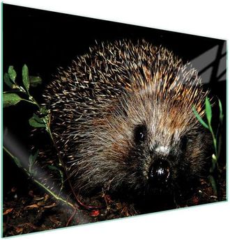 OEM Placa Protectora De Vidrio Para Estufa 70x52 Erizo