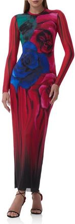 AFRM Didi Printed Long Sleeve Mesh Maxi Dress in Multi Blur Rose at Nordstrom, Size X-Small