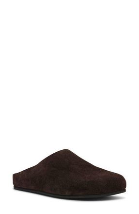 Steve Madden Fern Clog in Brown Suede at Nordstrom, Size 5.5