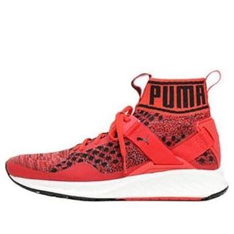 Puma Ignite EvoKnit Red 189697-02