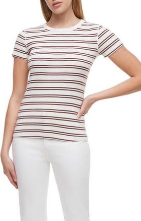 Three Dots Cotton Rib T-Shirt in Chocolate Lab Stripe at Nordstrom Rack, Size X-Large