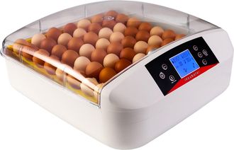 OEM Kruger Meier Proeggora 56 Auto - Incubadora Con Termostato Para 56 Huevos