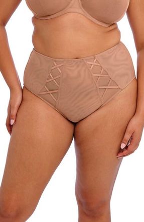 Elomi Sachi Full Coverage Briefs in Cafe Au Lait at Nordstrom, Size Xx-Large