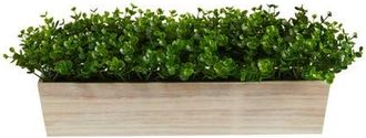 Nearly Natural 19-in Eucalyptus Artificial Plant in Decorative Planter in Green at Nordstrom