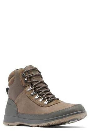 Sorel Ankeny II Waterproof Hiking Boot in Major/Wet Sand at Nordstrom Rack, Size 8