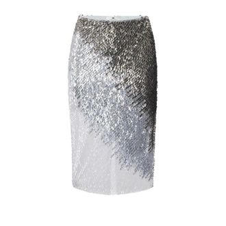 Elisabetta Franchi Dames, Rokken, Grijs, Maat: 2XL