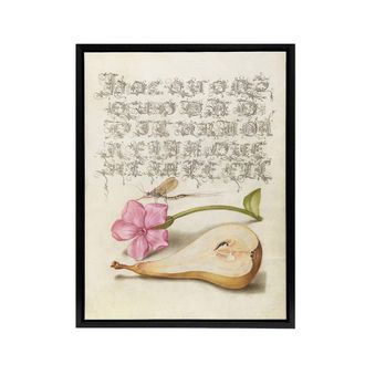 Artery8 Mayfly Red Campion & Pear Calligraphy Framed Canvas Wall Art Print in Beige | Size: W24 x H32
