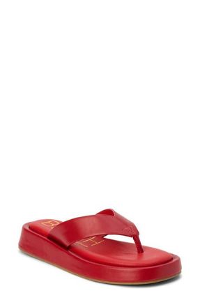 Matisse Footwear Mallorca Platform Flip Flop in Red at Nordstrom, Size 6