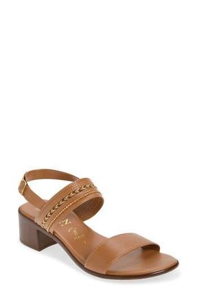 Italian Shoemakers Jenive Block Heel Sandal in Tan at Nordstrom Rack, Size 11