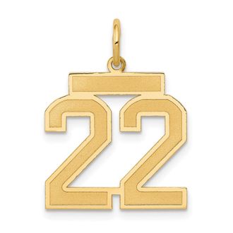Diamond2Deal 14k Yellow Gold Medium Satin Number Charm Pendant